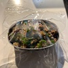 フタ外せばレンジOKのお弁当箱、作る時に最初からラップしとくと…