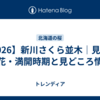 【2026】新川さくら並木｜見頃・開花・満開時期と見どころ情報