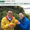 イヨカン（伊予柑）　まんぷく農家メシ！　梅沢さんと東野さんが柑橘王国愛媛県代表の伊予柑をいただきます．が，その前に伊予柑につながる，日本の蜜柑情報をいくつか　1.　伊予柑の生産量は，柑橘類第3位．2.　伊予柑の親は，『カイコウカン（海紅柑）』と『ダンシー（大紅みかん）』．