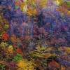 山は晩秋へ