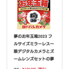 【福袋】ヨドバシカメラ2023真剣に悩む季節
