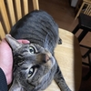 赤ちゃん返りの大吉