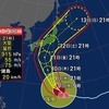 夜だるま台風情報