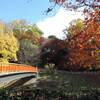 もみぢ葉は竜田の川の錦なりけり～紅葉の名所・竜田公園