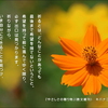 こころの道しるべ（232）祈りは希望