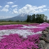 ニセコ方面ツーリング　三島さんの芝桜を見てきた