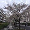 日高屋（宿題攻略）！