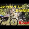 天上山林道を下りながりの動画