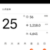2024-11月のライド結果　久々の月間1,200㎞