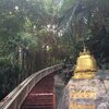 Wat Saket～バンコク市内を見渡せるお寺～