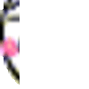 JBDF選手権です！