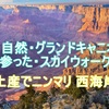 2018/19 USA 家族旅行 ㉓ 最終章 大自然・グランドキャニオン 参った・スカイウォーク ：土産でニンマリ 西海岸 ^^!