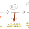  医療レーザー脱毛ってどんな感じ？その２