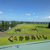 鏡石町田んぼアート