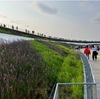 万博2回目その３～大屋根リング・未来の都市