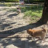 いろいろとあるよねエスパルス