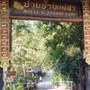 🇹🇭✈タイ旅行記【6日目】〜象🐘キャンプで象乗り & チェンマイのお寺や街歩き