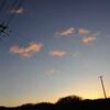 春の便り