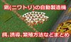 鶏(ニワトリ)の自動製造機と餌､誘導､繁殖方法などまとめ