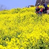 有耶無耶(うやむや)と曖昧模糊(あいまいもこ)が手を組めばツケがこちらに回ってくる