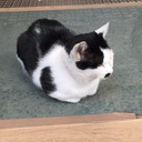 ゆとり男とミニマリストの融合ブログ