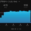 【練習記録】クルーズインターバルの効果をペース走で検証する