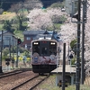 「湯乃鷺駅」でお花見