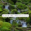 【奈良苔活】大台ケ原は、奈良県と三重県の県境に位置する標高1,695メートルの山で、日本百名山にも選ばれています。また、雨が多い地域であるため、苔やキノコが豊富に生息しており、自然観察にも最適な場所です。