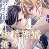 【BL漫画・BLコミックレビュー】典型的な政略結婚をした俺のその後。（分冊版）第11話