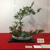 花展