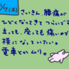 2024年11月7日(木)の日記