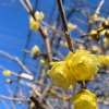 密やかな楽しみ