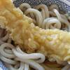 冷やし　いか天ぷら　うどん