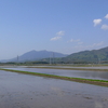 田圃と筑波山