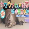 【ニコニコ】カワウソさんのお家56時間生中継＠サンシャイン水族館【今月のいきもの】