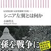 シニア左翼とは何か