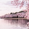対人関係の悩みはあなたの傷に気づかせてくれる