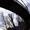 公園で遊ぶ