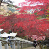 登山日和だね