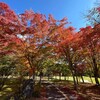 恒例の秋ゴルフ旅初日：ドライバー不安定ながらも ２バーディ、惜しくも「90切り」ならず（大浅間GC Blue 白樺G）