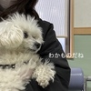 伝わらない思い。