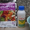 べと病対策と２番花どっさり
