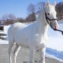 ジレン魔の屈辱