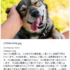 Amazon Kendra の Custom Document Enrichment と Amazon Bedrock で画像検索に対応する