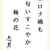 コロナ禍も　匂いすこやか　梅の花