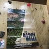 映画「The Dawn Wall」を見てきた