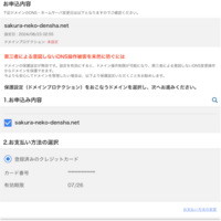 【そもそも必要？】ドメインプロテクションオプションの案内が来た件