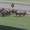レクセランス　神戸新聞杯（G2）7着
