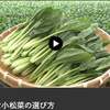 NHKらいふ「新鮮な野菜の選び方」動画公開中！