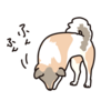 法話と説法の違いは？法話の別の言い方と法話会のお布施を知りたい！